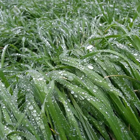 Gocce Di Luna Bed & Breakfast 3*