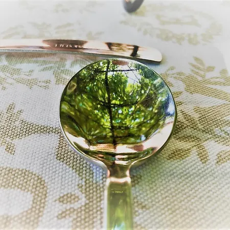 Gocce Di Luna Bed & Breakfast 3*