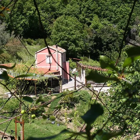 Gocce Di Luna