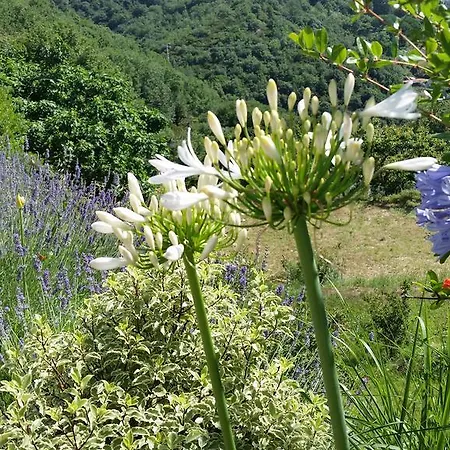 Bed & Breakfast Gocce Di Luna