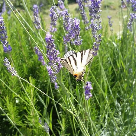 Gocce Di Luna Bed & Breakfast 3*