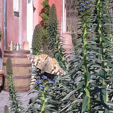 Bed & Breakfast Gocce Di Luna Celle Ligure