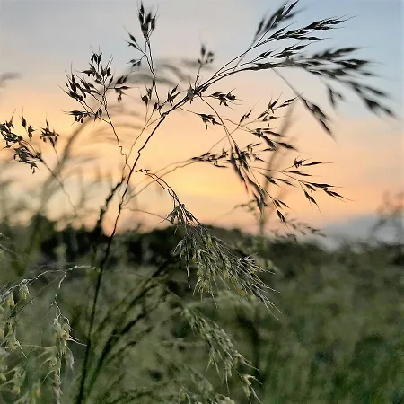 Gocce Di Luna Bed & Breakfast 3*