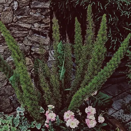 Bed & Breakfast Gocce Di Luna *