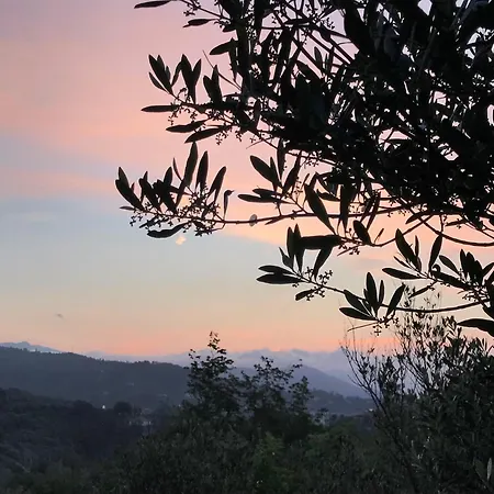 Gocce Di Luna Bed & Breakfast Celle Ligure