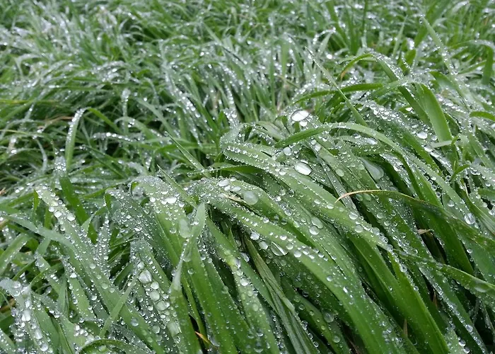 Gocce Di Luna Frühstückspension 3*