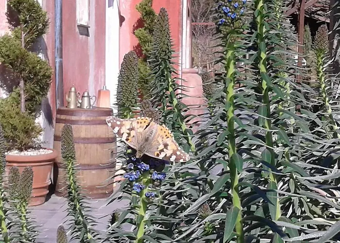 Bed and Breakfast Gocce Di Luna Celle Ligure