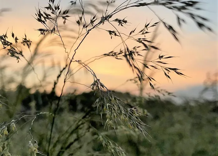 Gocce Di Luna Frühstückspension 3*